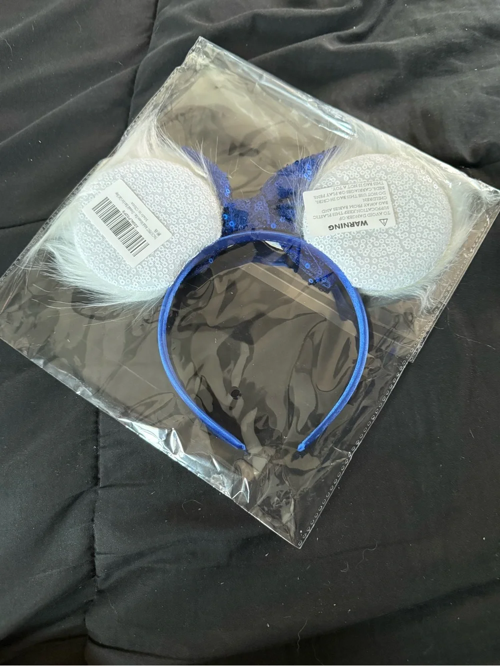 Donald Mickey Ears